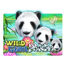 SLOT WIld Giant Panda